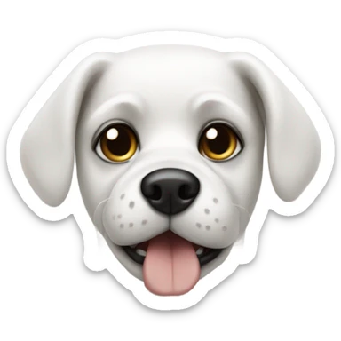 White dog with black eye patch and black ear sticker