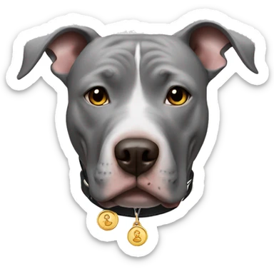 Gray pitbull with a penny collar sticker
