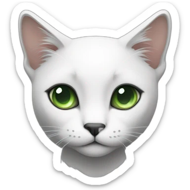 thin cat with black hair on his black and white hair on her belly and a white spot in the middle of her back and green eyes and a white face sticker