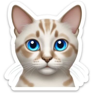 Colorpointed cat with blue eyes sticker