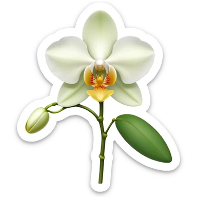 orchid sticker