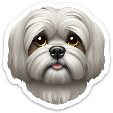 Golden shih tzu with a gray mask sticker