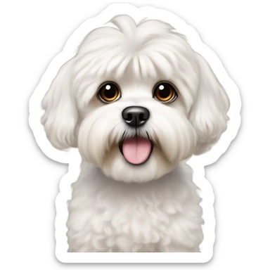 A white shitzoo poodle sticker