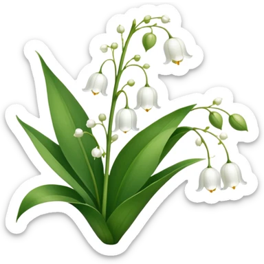 Botanically accurate lily of the valley with large oval basal leaves pointing upward, and a central stem with small white bell-shaped flowers hanging to one side sticker