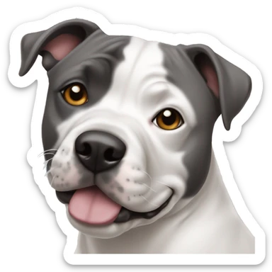Staffie chien une oreille blanc et l’autre gris  sticker
