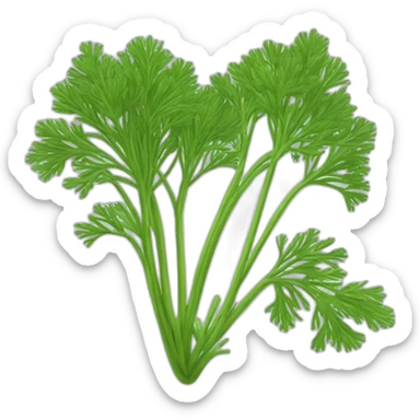 DILL PLANT sticker