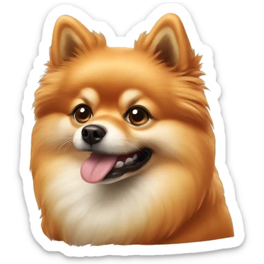 Pomeranian that look like Fox  sticker