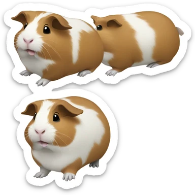 Three Guinea pigs eating lettuce sticker