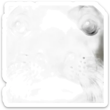 Northern Elephant Seal sticker