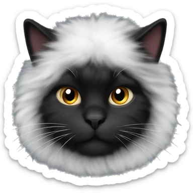 black fat fluffy cat with white fur on his chest sticker