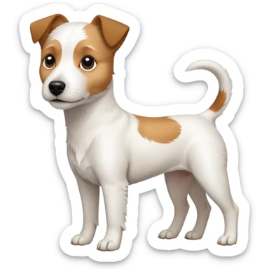 a full body slightly chubby white parson russell terrier looking dog the size of a kelpie with light brown long ears and a light brown patch on one eye and a large snout sticker