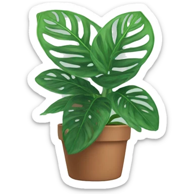 Prayer plant sticker