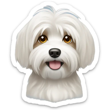 White havanese dog with tan eyes  sticker