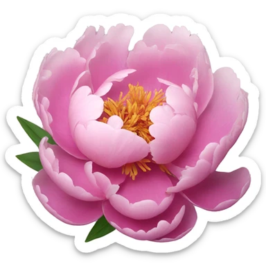 peony flower sticker