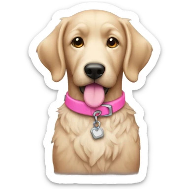 Doodle with pink collar sticker