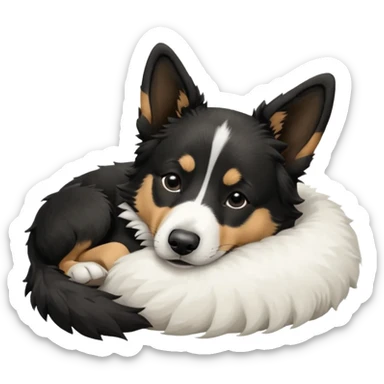  Dog blac and white sleep malinois and border collie  sticker