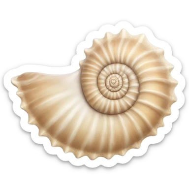 Seashell sticker
