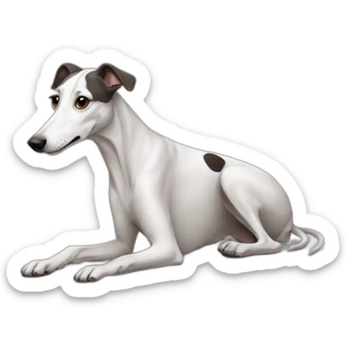 Dog galgo white sticker