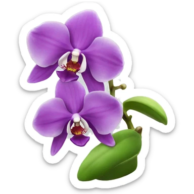 Orchid sticker