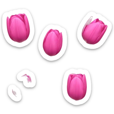 pink tulip sticker