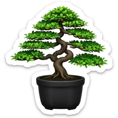 Bonsai Tree – Miniature tree in small pot, trimmed carefully, black pot sticker
