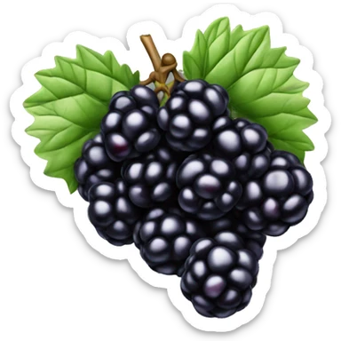 1 Blackberry fruit sticker
