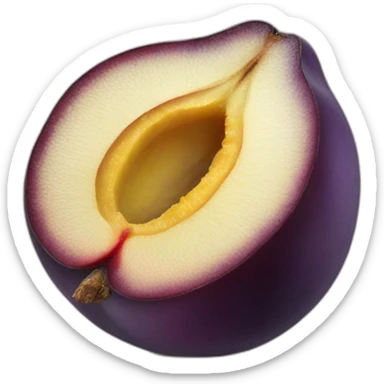 cross section of a plum sticker