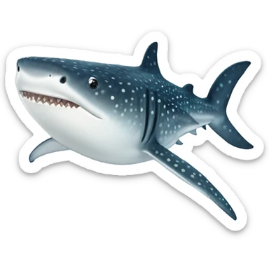 Whale shark with closed mouth and no teeth  sticker