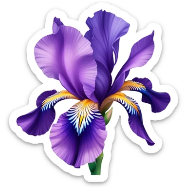 Iris flower lila pink blue sticker