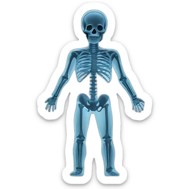 x-ray sticker