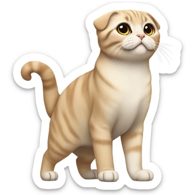 scottish fold cat standing like a meerkat sticker
