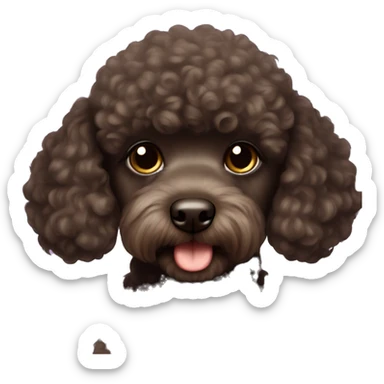 Dark brown mini poodle  sticker