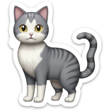full body derpy looking large short hair dark grey and white cat sticker