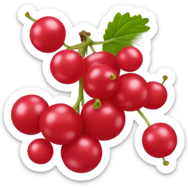 Red Currant sticker