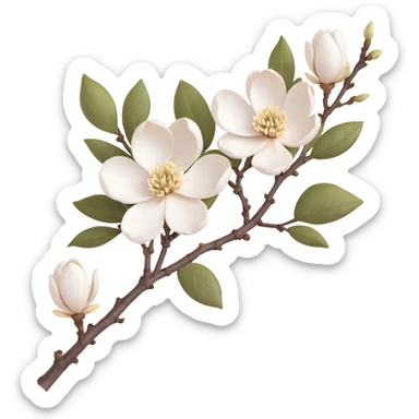 Traditional Japanese Magnolia kobus (kobushi) blossom with sumi-e brush stroke style, delicate white flowers on bare branch, zen aesthetic with subtle ink wash background sticker