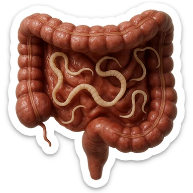 realistic 3D section of human intestine with moving tapeworm parasites, hyperrealistic details, wet texture, natural colors, 4K, isolated on white background sticker