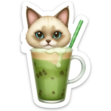 Siamese Cat holding iced matcha latte sticker