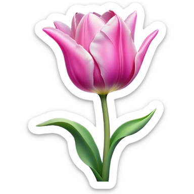 Cinematic Realistic Tulip Emoji, Elegant and simple, with soft, smooth petals in shades of pink and purple, gently curved and reaching upward. The slender green stem contrasts against the delicate bloom, while surrounding greenery adds a peaceful touch. Soft glowing outline, capturing the essence of springtime beauty and grace in a delicate tulip. sticker