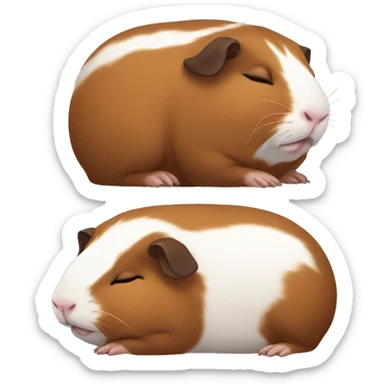Brown Guinea pig sleeping sticker
