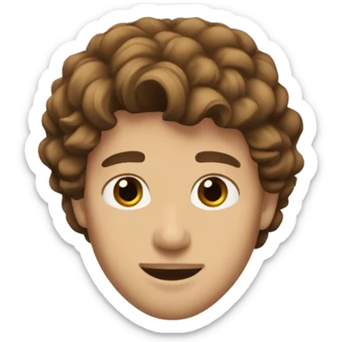 A prince with brown hair  sticker