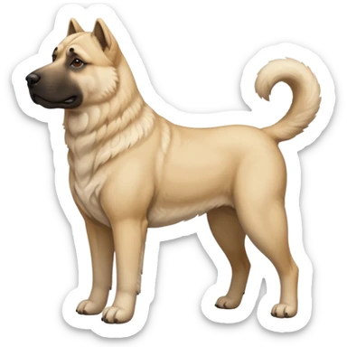 kangal cinsi köpek köy köpeği sticker