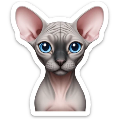 grey pink canadian sphynx cat with blue eyes and black nose sticker