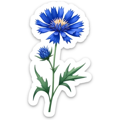single blue Cornflower, straight stem sticker