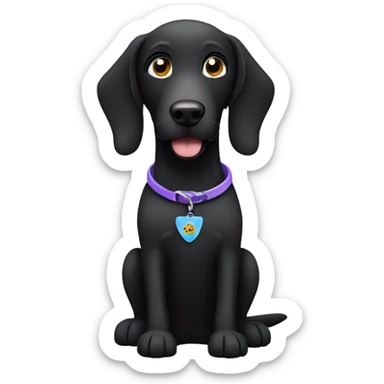 black lab dog wearing a recovery collar  sticker