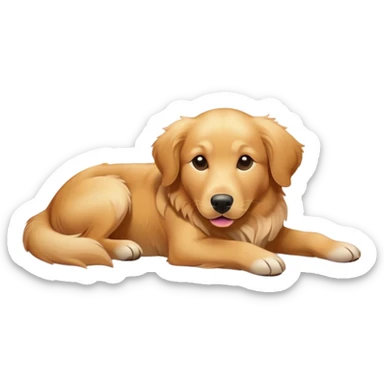 Golden retriever mix laying down in the sun light  sticker