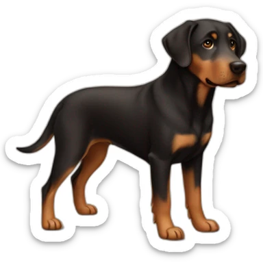 Brown labrador crossed with beauceron sticker