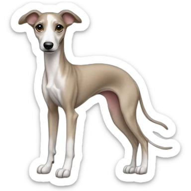 whippet puppy full body sticker