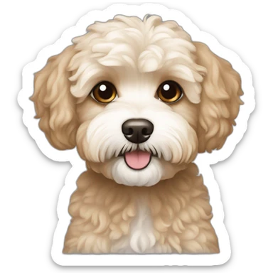 white light brown maltipoo terrier slender sticker