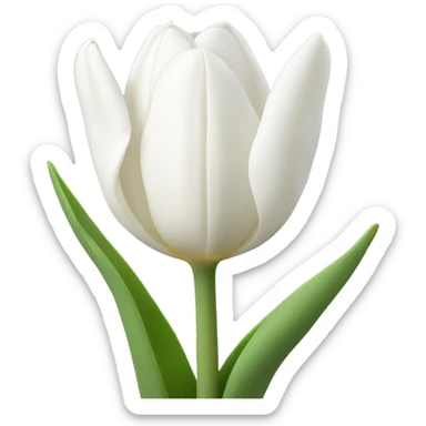 White tulips  sticker
