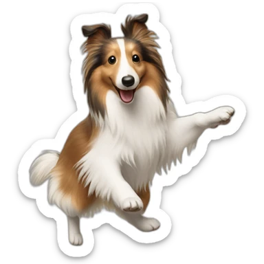 dancing sheltie sticker